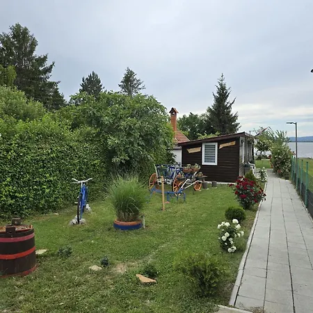 Dedin ゴルバッツ