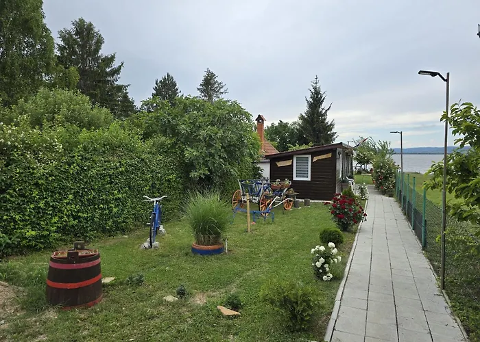 Dedin גולובאץ